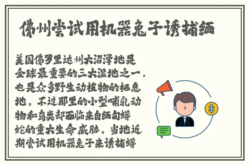 开档丝袜一区二区